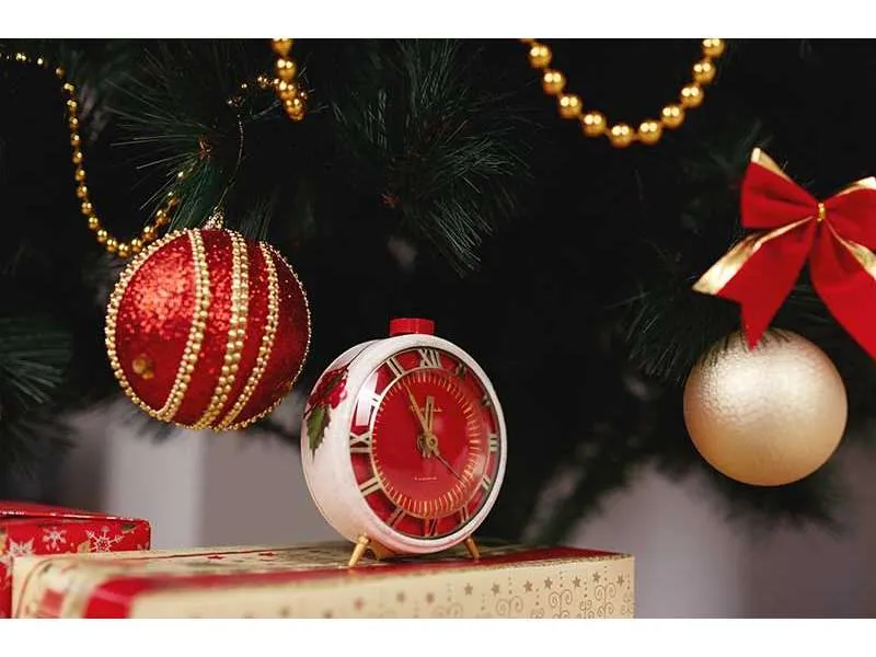 Praznično radno vreme 2026