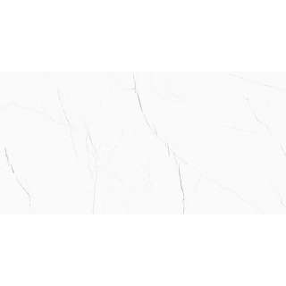 Barbados White Pulido 60x120cm 