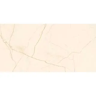 Elegance Marble Ivory Pulido 60x120cm 