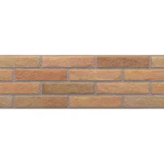 Ascot Fuego 20x60cm 