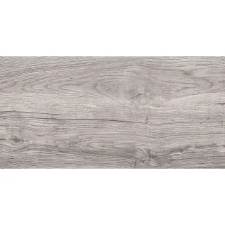 Dakota Gray 30x60cm 