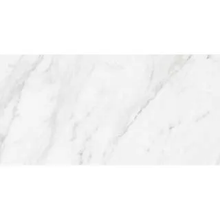 Carrara 25x50cm 