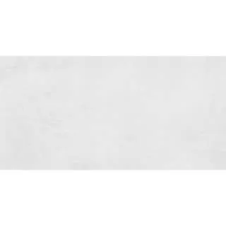 Pastel Light Grey 25x50cm 