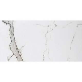 Marble Statuario Matt 30x60cm 