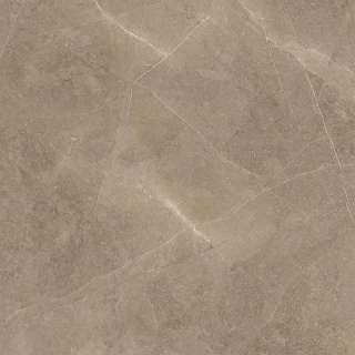 Elegant Taupe 60x60cm 
