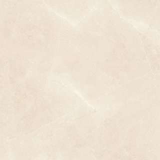 Elegant Beige 60x60cm 