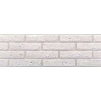 Ascot Blanco 20x60cm 