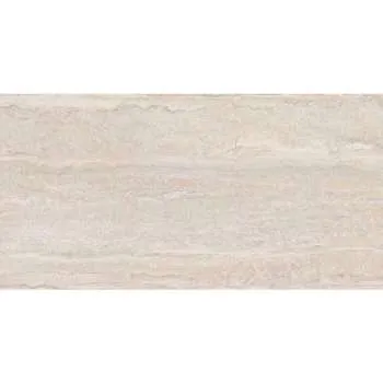 Pantheon Evolution Ebur Veincut Mate 60x120cm 