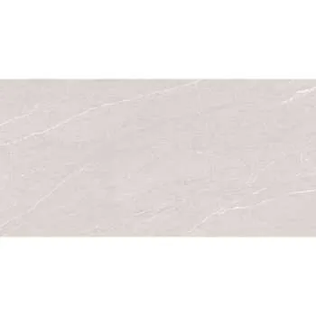 Athens Light Grey Rett 59.8x119.8cm 
