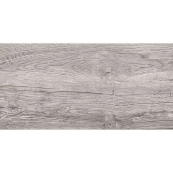 Dakota Gray 30x60cm 