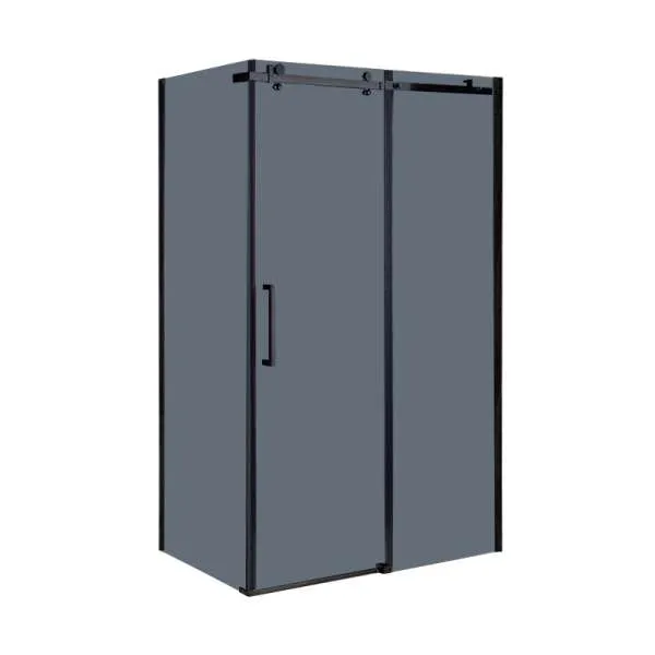 Tuš paravan BR6610CG 80x100 