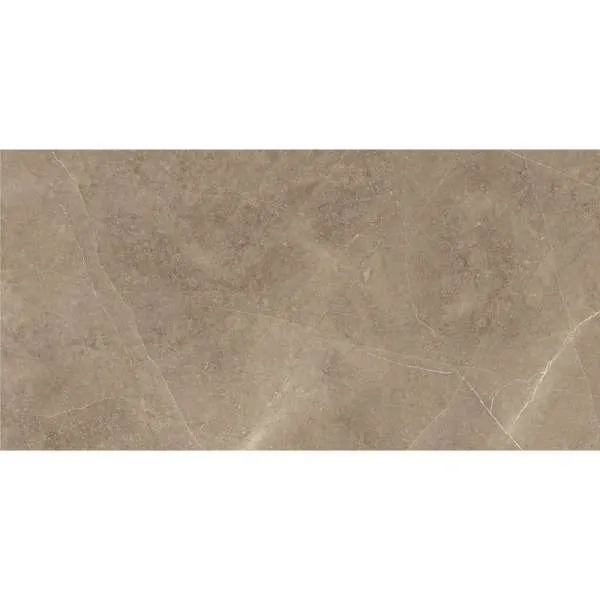 Elegant Taupe 30x60cm 