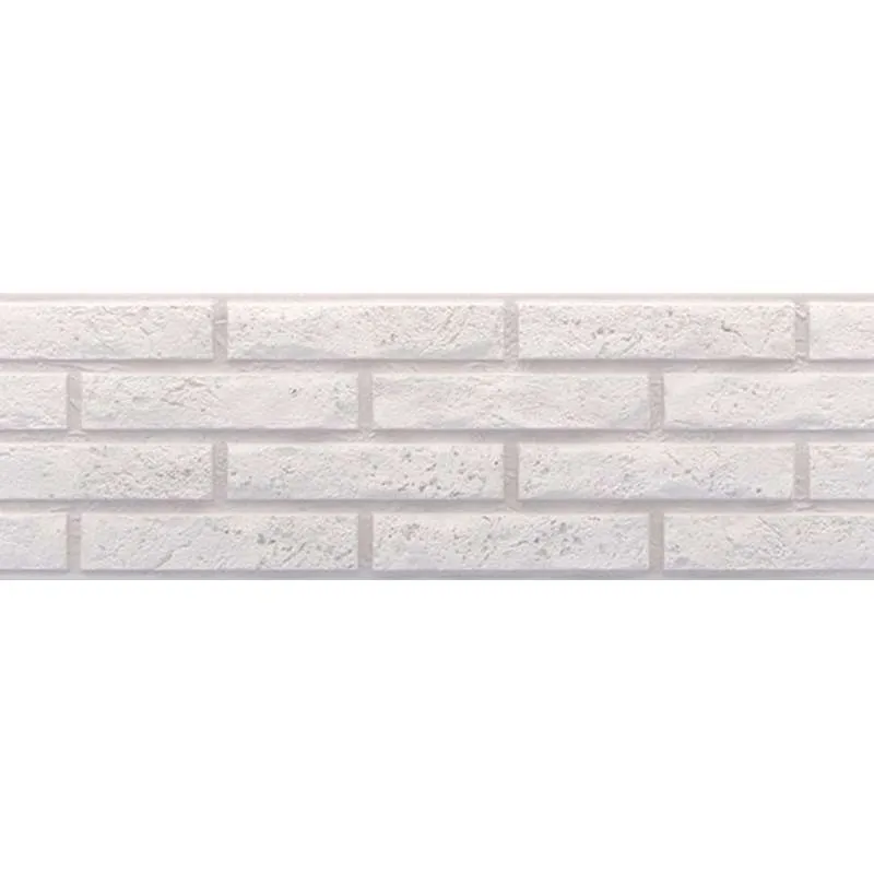 Ascot Blanco 20x60cm 