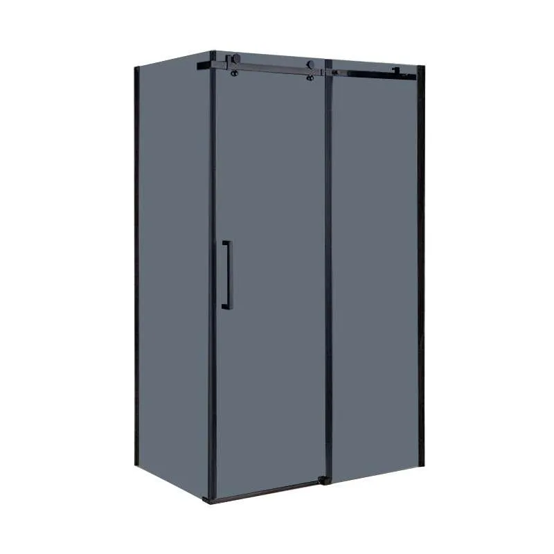 Tuš paravan BR6610CG 80x100 