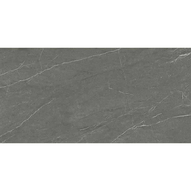 Athens Graphite Rett 59.8x119.8cm 
