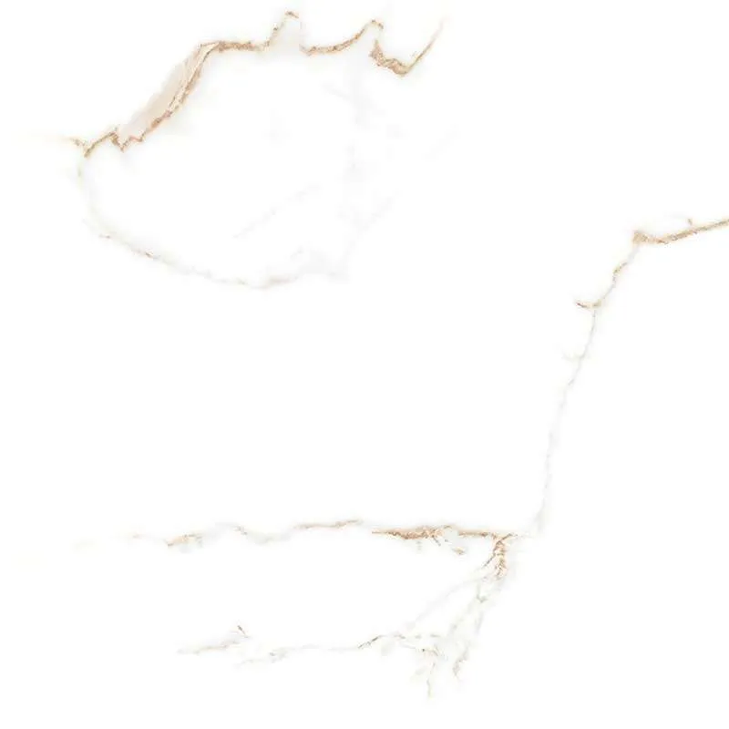 GPT1118 White Gold Matt Rect 59.8x59.8cm 